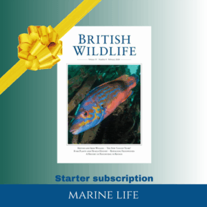 Starter Subscription: Marine life (UK only)