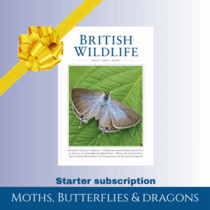 Starter Subscription: Moths, Butterflies & Dragons (UK only)