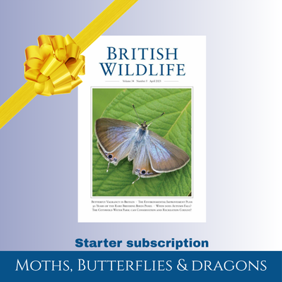 Starter Subscription: Moths, Butterflies & Dragons (UK only)