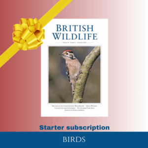 Starter Subscription: Birds (UK only)