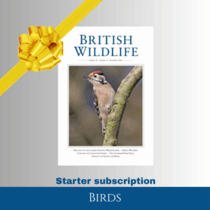 Individual (UK) - Birds starter