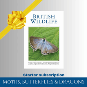 Starter Subscription: Moths, Butterflies & Dragons (UK only)
