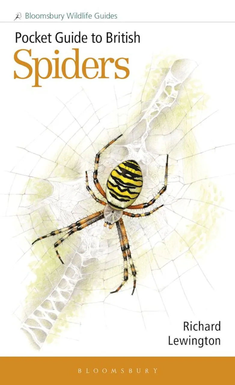 Pocket Guide to British Spiders - British Wildlife