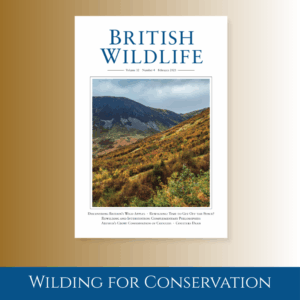 Wilding for Conservation: An Exploration of Rewilding in Britain - pdf download