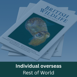 Individual (overseas) Rest of World