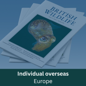 Individual (overseas) Europe