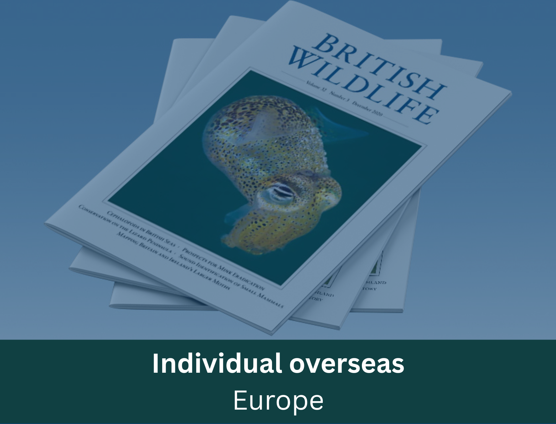 Individual (overseas) Europe