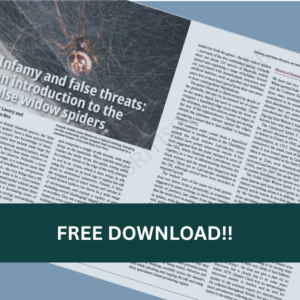 Free download!! False widow spider article